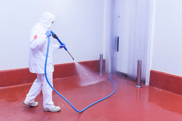 Best Roof Washing  in Knollwood, IL