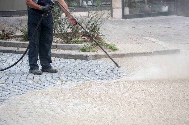 Best Sidewalk and Walkway Cleaning  in Knollwood, IL